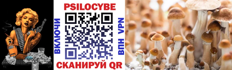 Галлюциногенные грибы Magic Shrooms  Купить  Свободный 